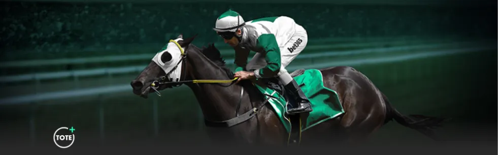 罗马,蒙扎,象征之战,加拿大28彩票,加拿大28开奖,实时开奖结果,历史数据,开奖预测,走势图